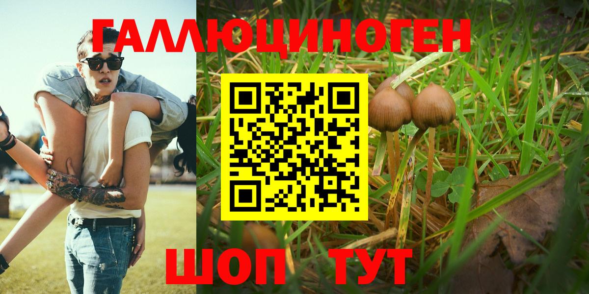 Псилоцибиновые грибы Magic Shrooms  Вход с VPN  Псилоцибиновые грибы Psilocybine cubensis  Еманжелинск 