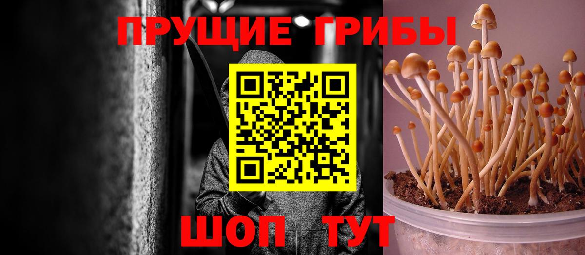 Псилоцибиновые грибы MAGIC MUSHROOMS Еманжелинск